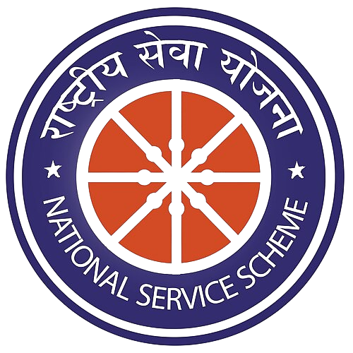 NSS Logo
